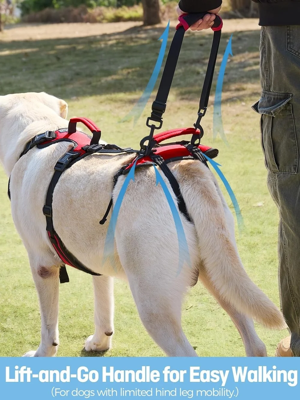 Lafoty Dog Lift Harness for Large Dogs, Full-Body Support Size Large, Red, New